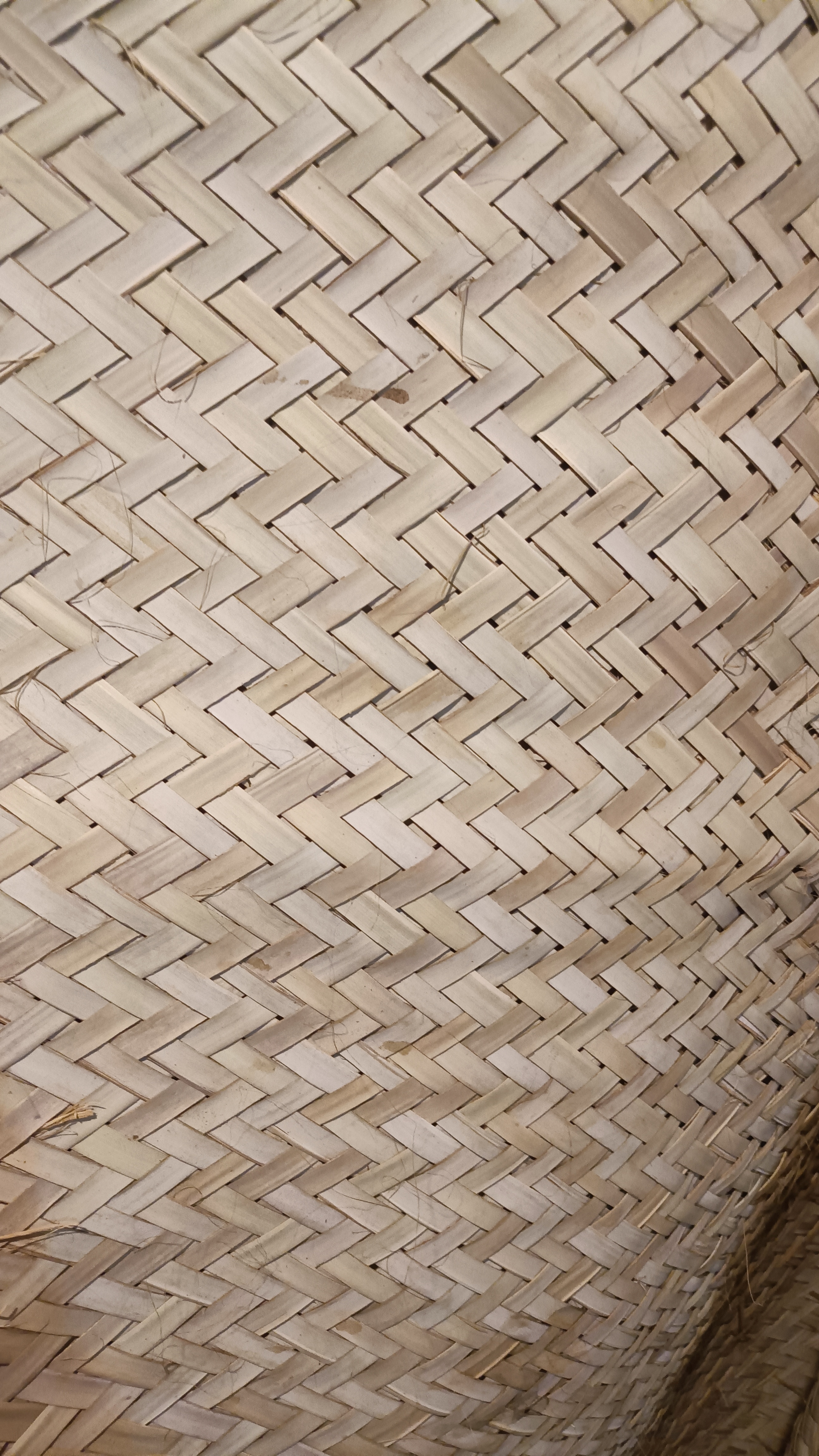 قواره ۱۶۰ در ۲۶۰