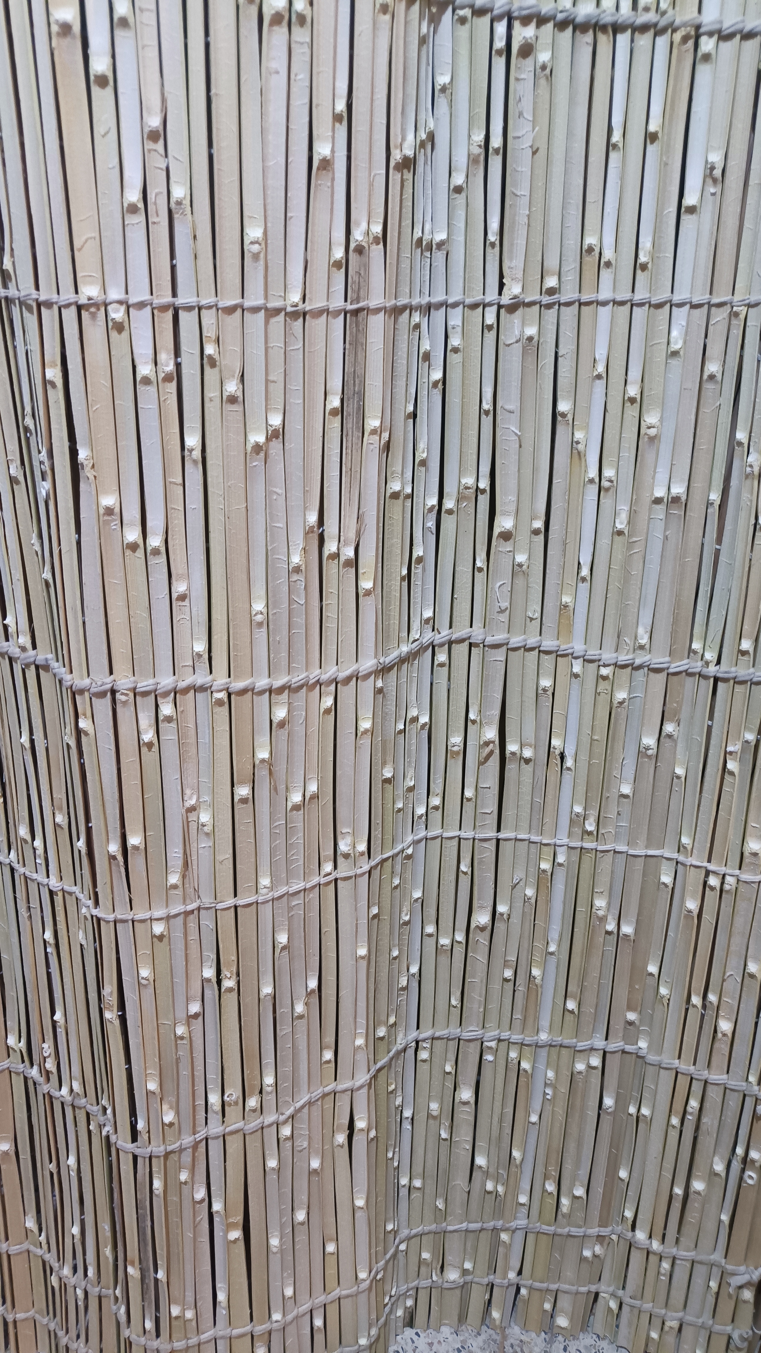 تصویر پشت حصیر